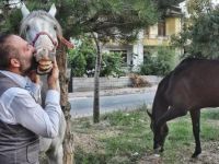 Kadın doğum doktoru, hayatını atlarına adadı