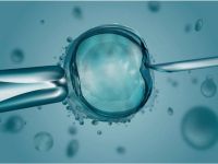 Embriyolar fotoğraflanacak, tüp bebek şansı artacak