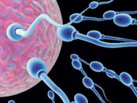 Ultrason, erkekte sperm ürettirmiyor﻿
