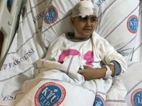 Kırşehir'de 'pitbull' dehşeti: Anne ve kızı yaralandı