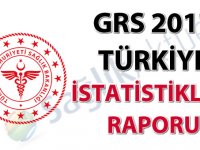 GRS 2017 Türkiye İstatistikleri Raporu yayınlandı