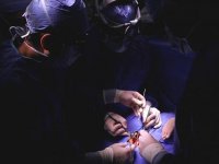 Japonya'da ilk kez iPS kök hücreler kalp ameliyatında kullanıldı: Artık komple kalp nakli olmayacak