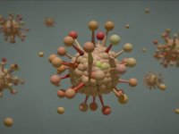 İzlanda'daki koronavirüs araştırmalarında virüsün 40 mutasyonu bulundu