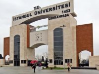 İstanbul Üniversitesi (Cerrahpaşa) 83 sözleşmeli sağlık personeli alımı yapacak