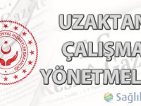 Uzaktan Çalışma Yönetmeliği