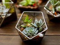 Ayvacık Ziraat Odasından Kovid-19 salgınında fedakarca çalışan sağlık ve güvenlik görevlilerine çiçek