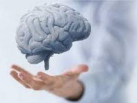 Beyin Check Up’ı Nedir?