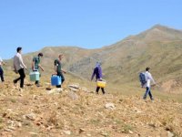 Bitlis'te sağlık ekipleri yaylaları dolaşarak göçerlerin aşılarını yapıyor