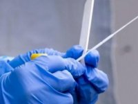 Bilim insanları Kovid-19’un kökenine ilişkin araştırmaların DSÖ bünyesinde yürütülmemesi gerektiğini düşünüyor