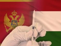 Macaristan, Karadağ'a 200 bin Kovid-19 aşısı yardımında bulundu
