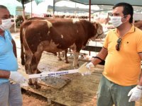 Kurban satış ve kesim yerlerinde Kovid-19 tedbirleri uygulanacak