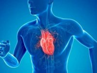 Egzersiz, koroner kalp hastalarında kardiyak ölüm riskini yüzde 26 azaltıyor