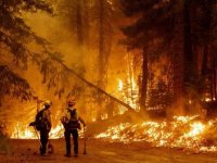 İklim krizi yangınların söndürülmesini zorlaştırıyor