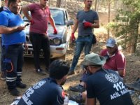 Sakarya İl Sağlık Müdürlüğü ekipleri, yangın bölgelerinde yaraları sarıyor