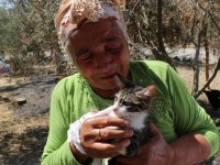 Orman yangınından son anda kurtulan yaşlı çift, tedavi edilen kedilerine kavuştu