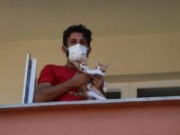 Kartal Belediyesi ekipleri, Kastamonu'daki sel felaketinde mahsur kalan kedileri kurtardı