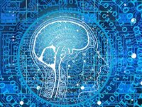 Dijital Dönüşüm Ofisi, 2025 yılında 50 bin yapay zeka uzmanı istihdamını hedefliyor