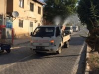 Baskil Belediyesi haşerelere karşı ilaçlama yapıyor