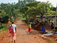 DSÖ, Demokratik Kongo Cumhuriyeti'nde Ebola salgını döneminde 83 cinsel istismar vakası tespit etti