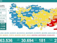 Türkiye'de  30 bin 694 kişinin testi pozitif çıktı, 181 kişi hayatını kaybetti