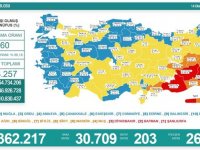 Türkiye'de 24 bin 792 kişinin Kovid-19 testi pozitif çıktı, 195 kişi hayatını kaybetti