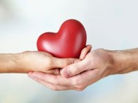 Organ bağışının vasiyet haline getirilmesi önerisi