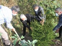 Giresun'da organları bağışlanan gencin anısına fidan dikildi