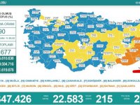 Türkiye'de 22 bin 583 kişinin Kovid-19 testi pozitif çıktı, 215 kişi hayatını kaybetti