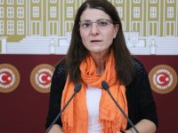 HDP'li Gülüm: "İnsanlar sağlığa erişim hakkından yoksun yaşıyor"