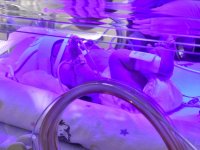 "Prematüre bebekler düzenli takip edilmeyen hamilelikten doğuyor" uyarısı