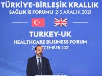 Sağlık Bakan Yardımcısı Tolunay, Türkiye-Birleşik Krallık Sağlık İş Forumu'nda konuştu: