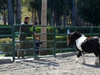 Tarsus Doğa Parkı'nın yeni yavruları ilgi odağı oldu