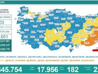 Türkiye'de 17 bin 956 kişinin Kovid-19 testi pozitif çıktı, 182 kişi hayatını kaybetti