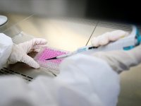 Japon bilim insanları, yaşlılıkla türeyen "zombi hücrelere" karşı aşı üretti