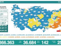 Türkiye'de 36 bin 684 kişinin Kovid-19 testi pozitif çıktı, 142 kişi hayatını kaybetti