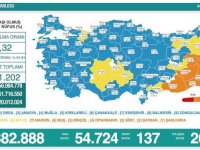 Türkiye'de son 24 saatte Kovid-19 vaka sayısı 50 bini aştı