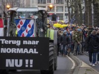 Hollanda'da Kovid-19 kısıtlamaları protesto edildi
