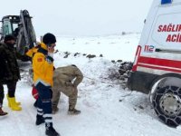 Şanlıurfa'da yolu kardan kapanan köylerdeki hastalara yoğun çabayla ulaşılıyor