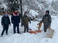 Yalova Valiliği kentteki karla mücadele çalışmalarını değerlendirdi