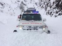 Adıyaman'da doğum hazırlığında olan kadına paletli ambulansla ulaşıldı