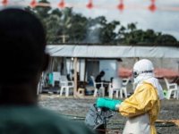 Kamerun'da yeniden ortaya çıkan kolera vakalarında 5 kişi hayatını kaybetti