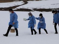 İran sınırında karlı yolları aşarak aşı çalışması yürütüyorlar