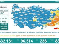 Türkiye'de 96 bin 514 kişinin testi pozitif çıktı, 236 kişi hayatını kaybetti