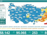 Türkiye'de 95 bin 65 kişinin Kovid-19 testi pozitif çıktı, 253 kişi hayatını kaybetti