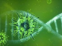 İngiltere'de Lassa ateşi kaynaklı ilk ölüm gerçekleşti