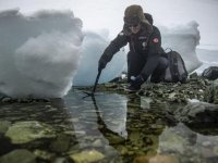Antarktika Seferi’nin kadın görevlisi "biyoteknolojik ilaçların" peşinde