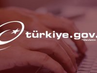 e-Devlet üzerinden 47 bin 343 kişi "engelli kimlik kartı" sahibi oldu