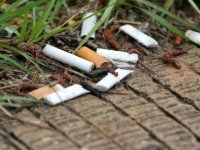 DSÖ: Dünyada en çok tütün ürünleri çöpe atılıyor
