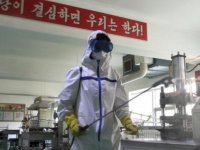 Kuzey Kore'de yeni bir salgın hastalığa rastlandığı iddia edildi
