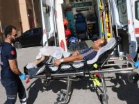İstanbul'da "acemi kasap"lar hastanelik oldu